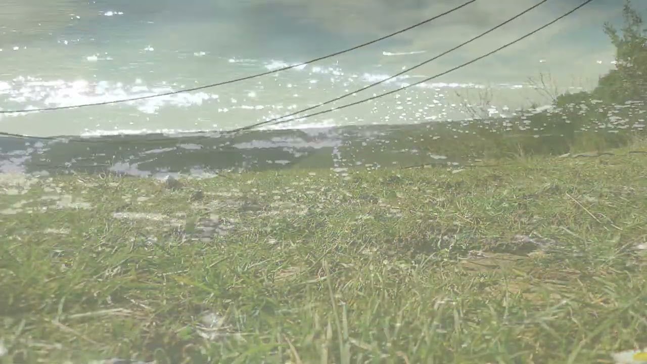 fils noirs - fin de l'hiver