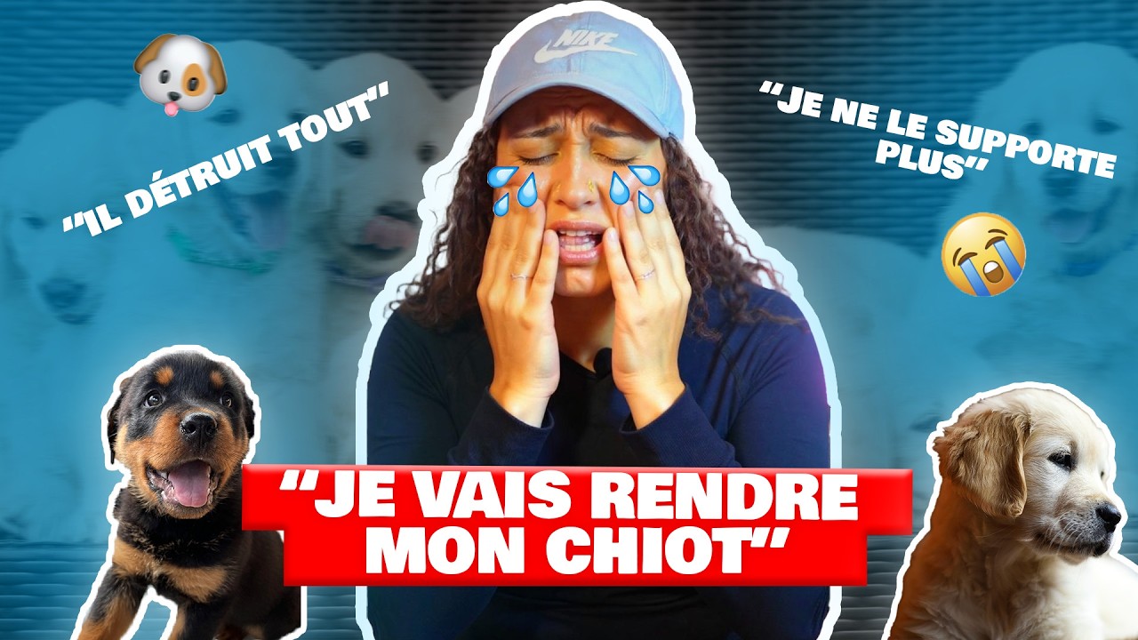 LE PUPPY BLUES : en dépression à cause de son chien (témoignages...)