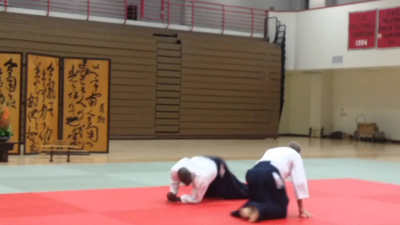 Chuck Weber Shihan, 7th Dan, 2015 ASU Demo
