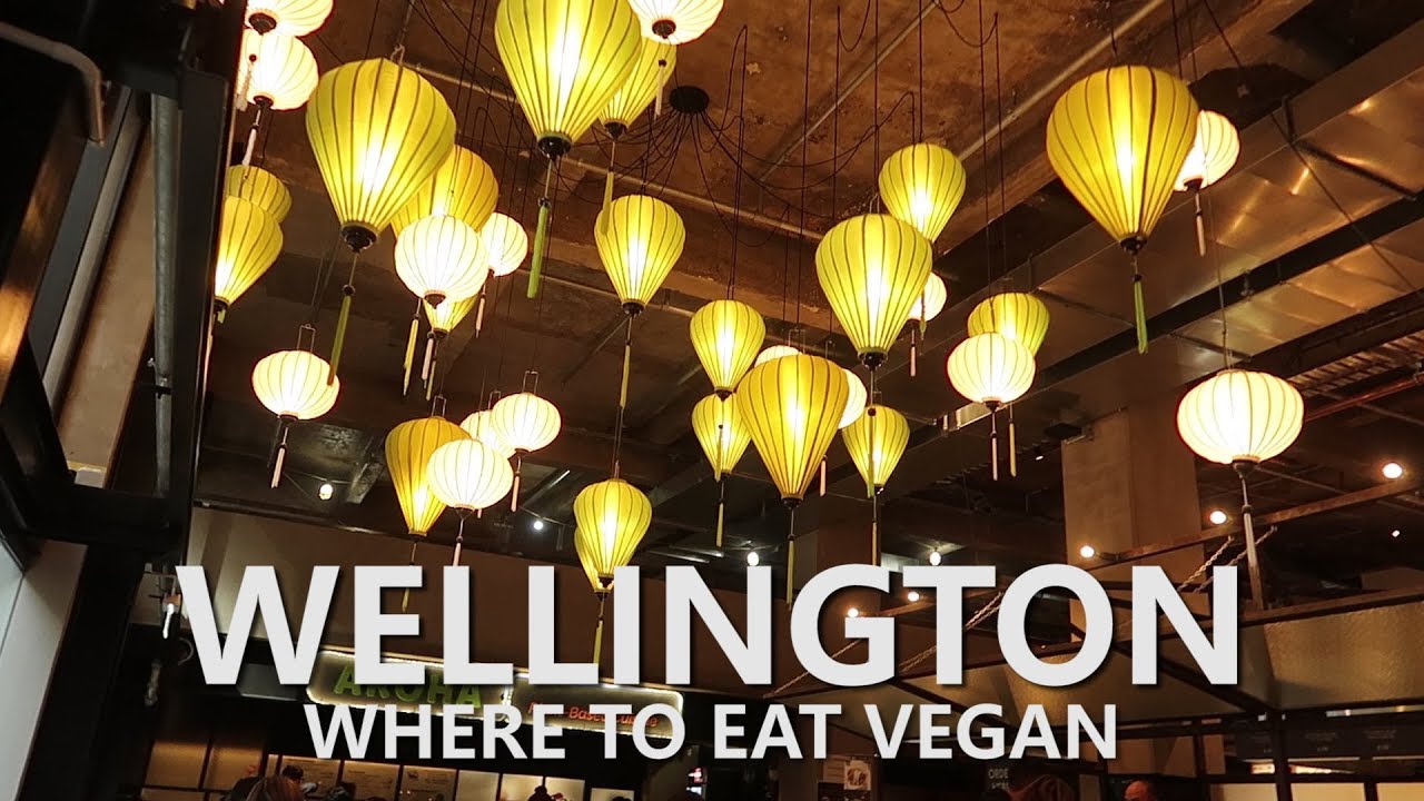 WELLINGTON NZ DAY TRIP // WHERE TO EAT VEGAN // TRAVEL TIPS