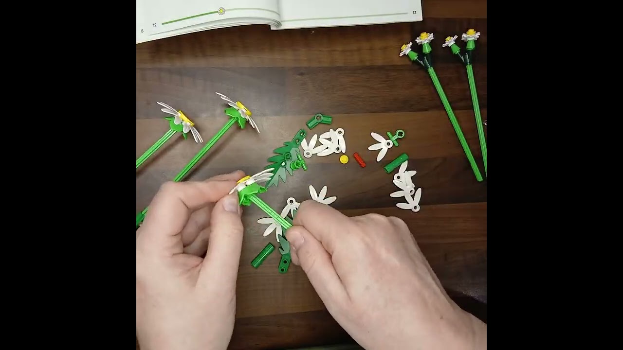 Lego Botanicals Collection Daisies 11508 -Build video #daisies #legobotanicals #legoflowers #flowers