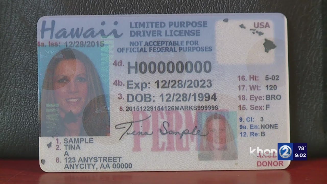 Florida’s illegal immigrant crackdown hits certain Hawaii licenses
