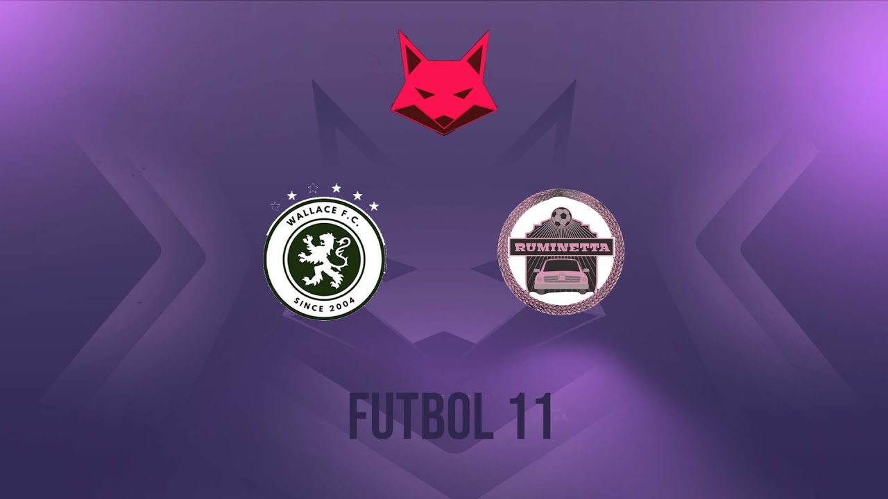 Wallace vs. Ruminetta - F11