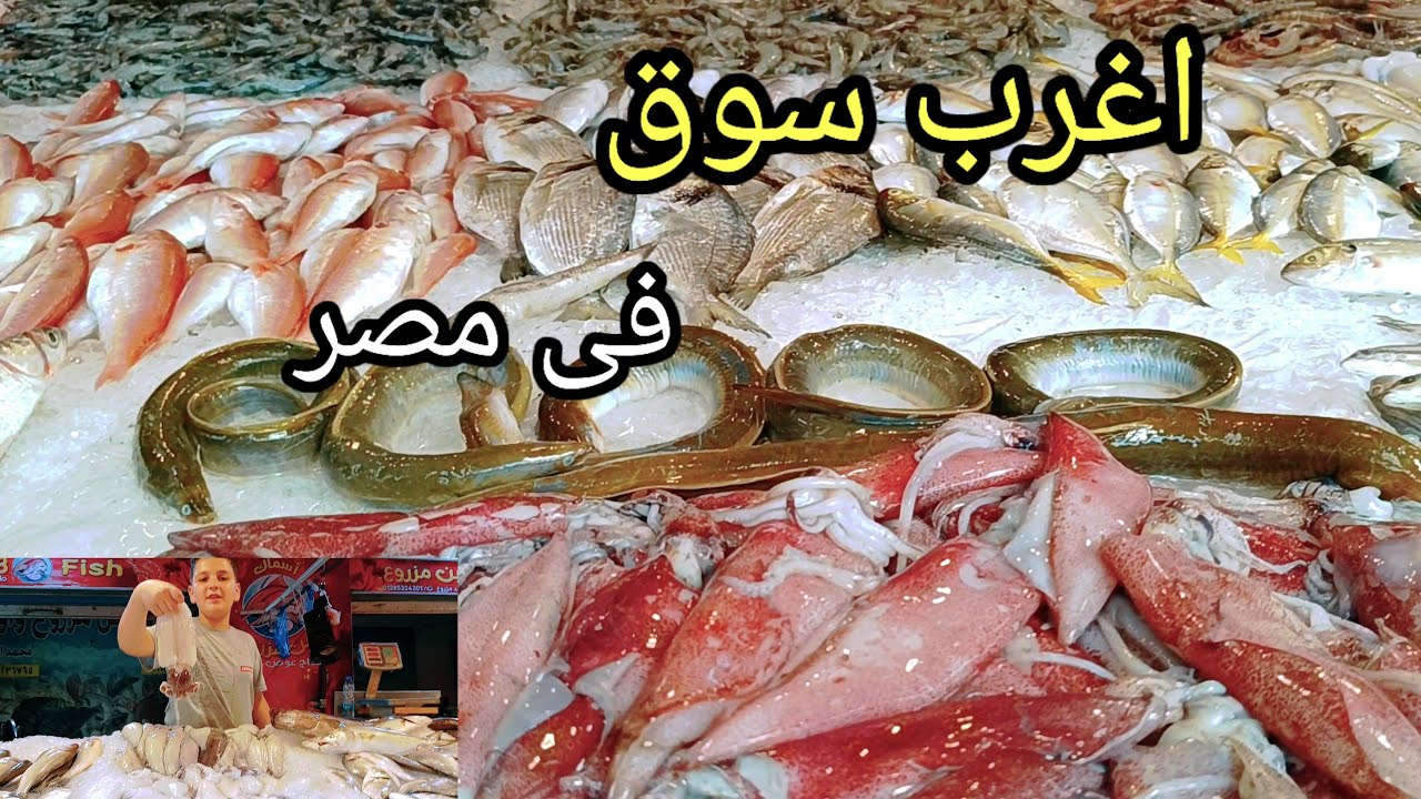الحقوا🏃🏃🏃جولتنا النهارده فى سوق سمك بورسعيد الجديد🎉بالاسعار port said egypt