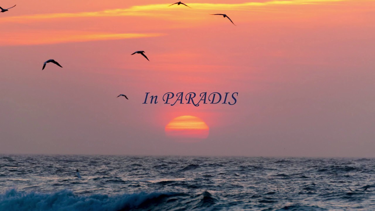 NEGATIV - Paradis | Sorin&Daniela Piu