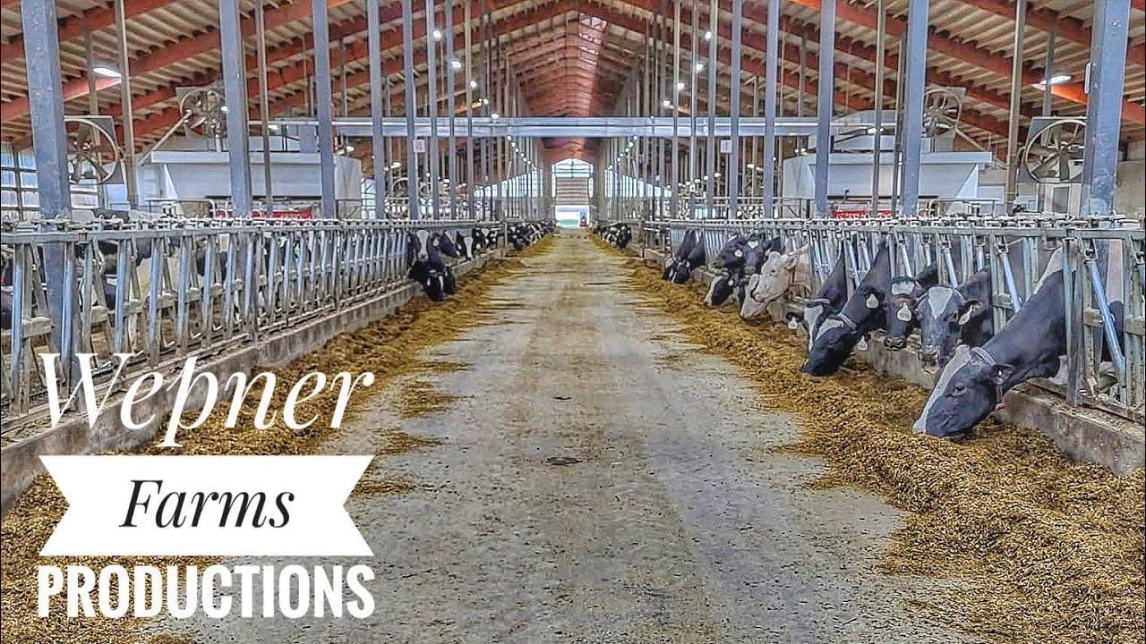 Robot Dairy Barn Tour
