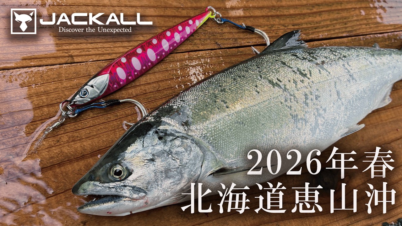 【サクラマス ジギング】実釣から見る有効パターン / 根元 陽介