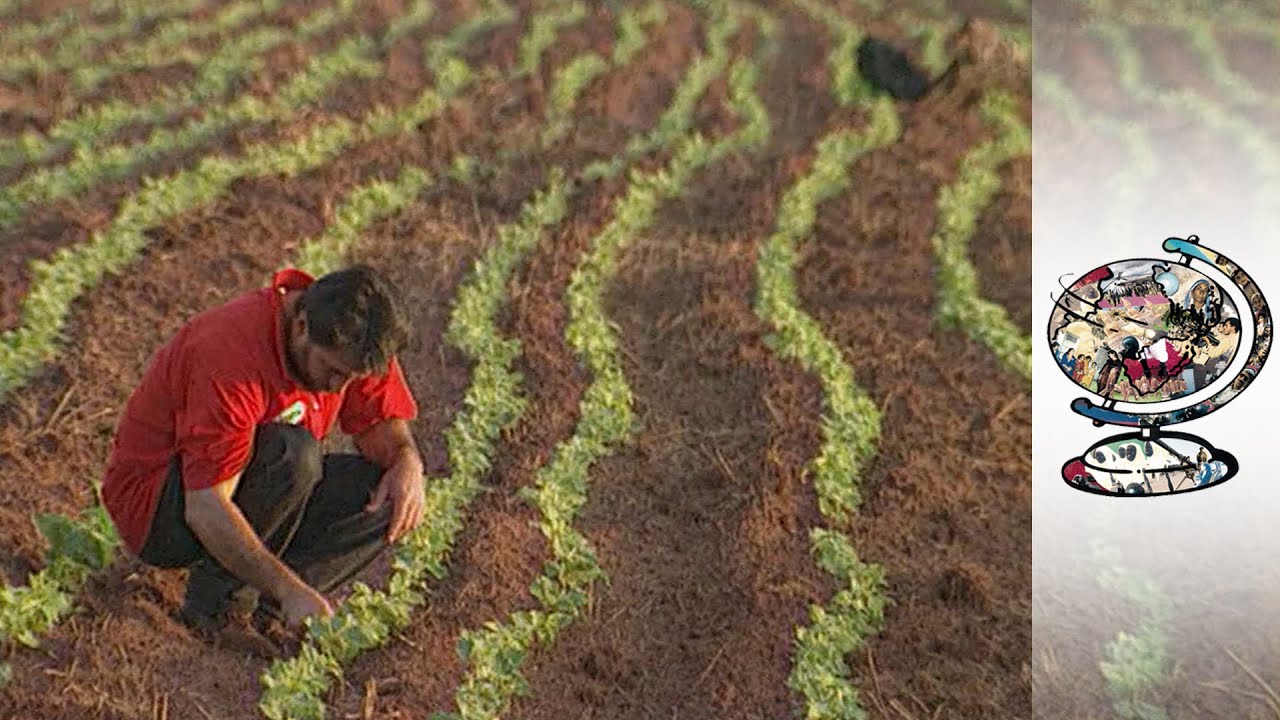 The Farming Movement Changing The Face Of Brazil (2001)