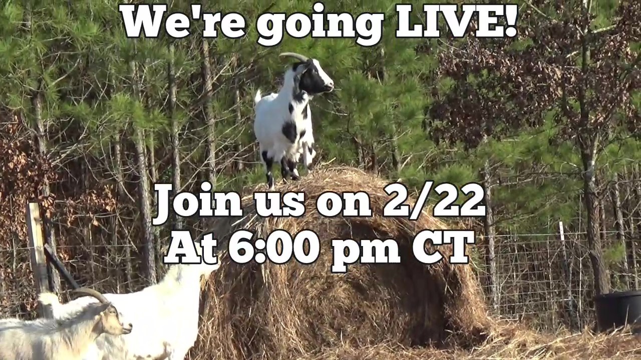 We're going live on 2/22 at 6:00 pm CT
