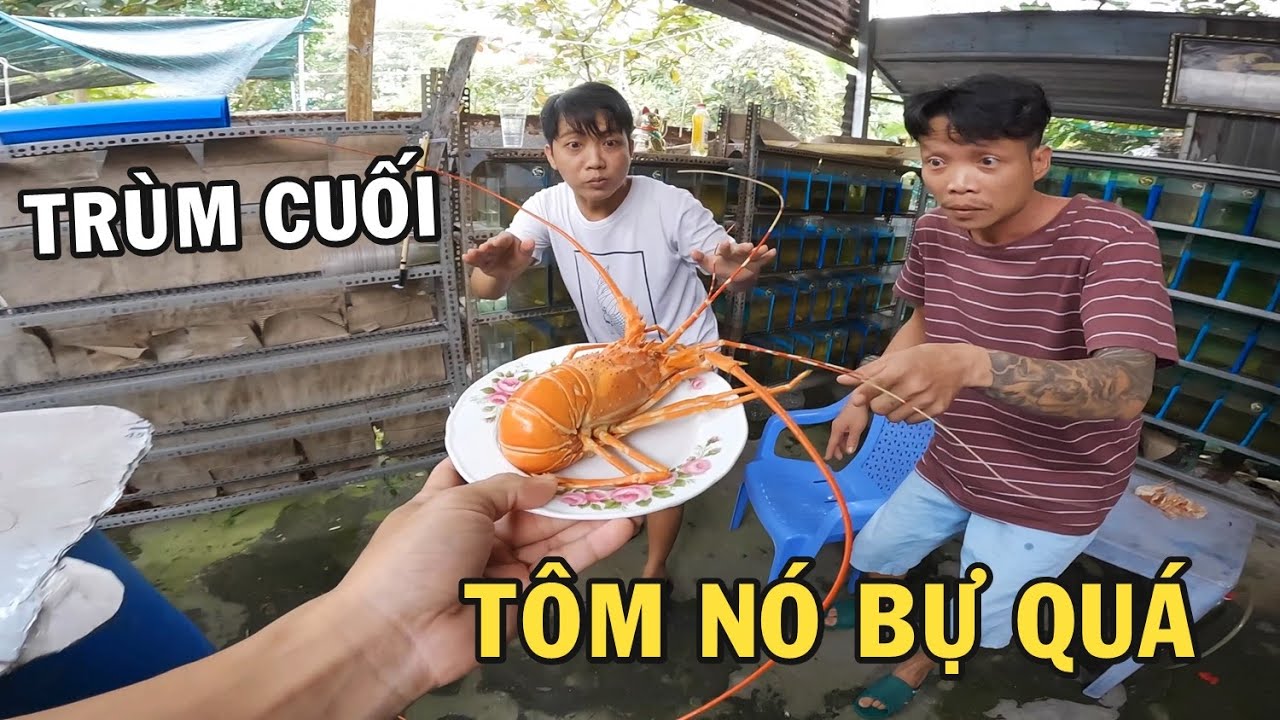 Màn so kè Tôm Luộc con ai bự người đó làm trùm cùng với ông chủ trại cá Betta