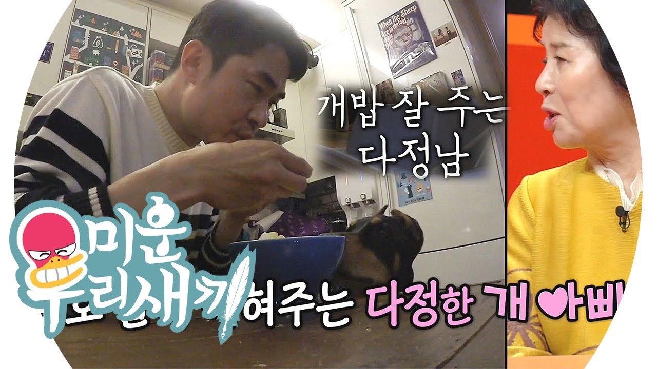 ‘개밥 잘 주는 남자’ 배정남, 반려견 향한 애정 뿜뿜! @미운 우리 새끼 143회 20190616