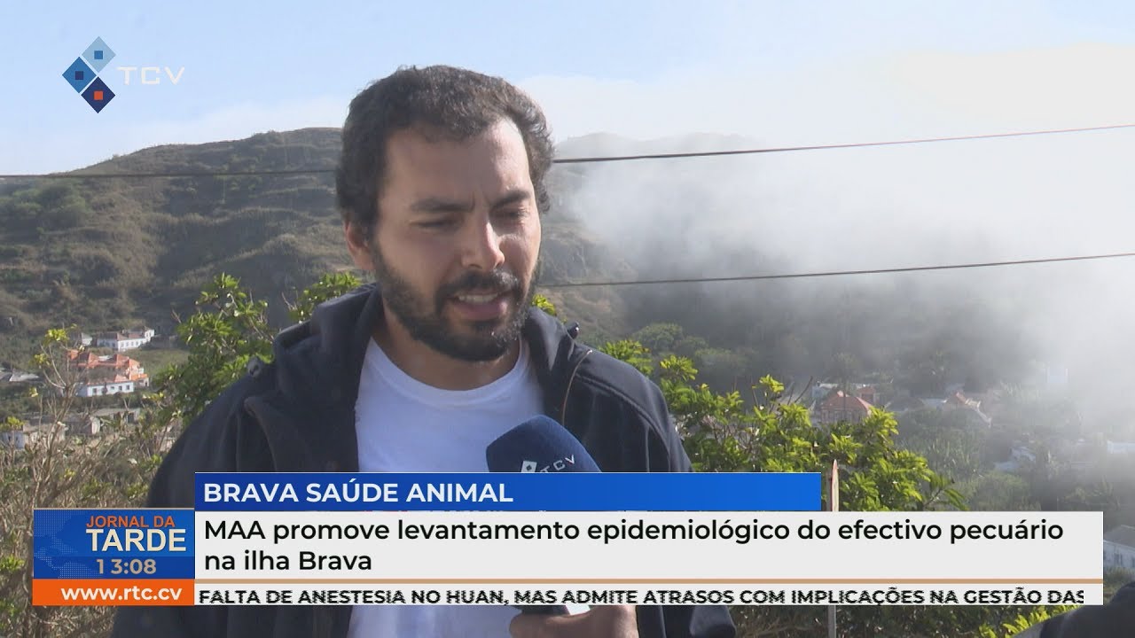 MAA promove levantamento epidemiológico do efectivo pecuário na ilha Brava