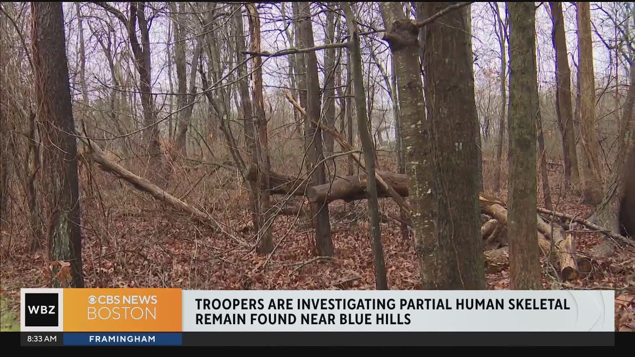 Partial human remains found near Blue Hills Reservation in Milton