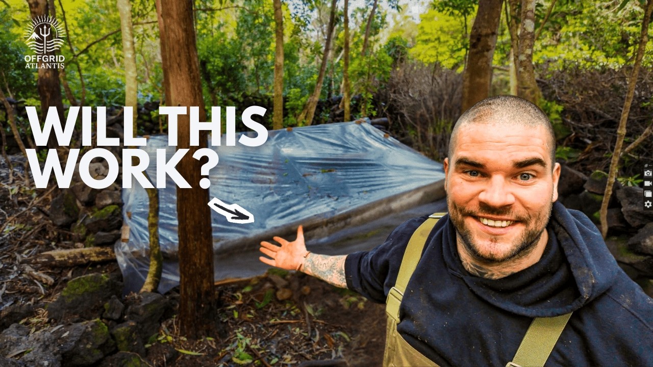 Giant Cold Frame + Adding 6 New Citrus Trees to The Food Forest | Off-Grid Island Homestead