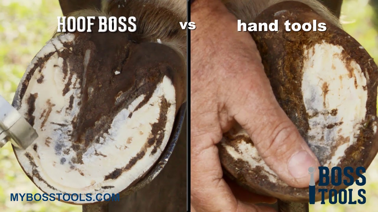 Hoof Boss vs Manual Tools  Horse Hoof Trim