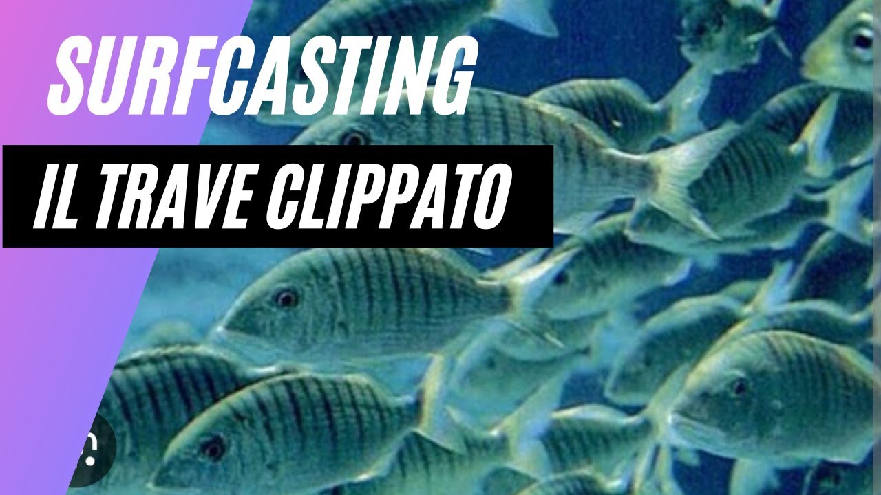 PESCA CON IL TRAVE CLIPPATO - COME AUMENTARE LA LUNGHEZZA DEL LANCIO
