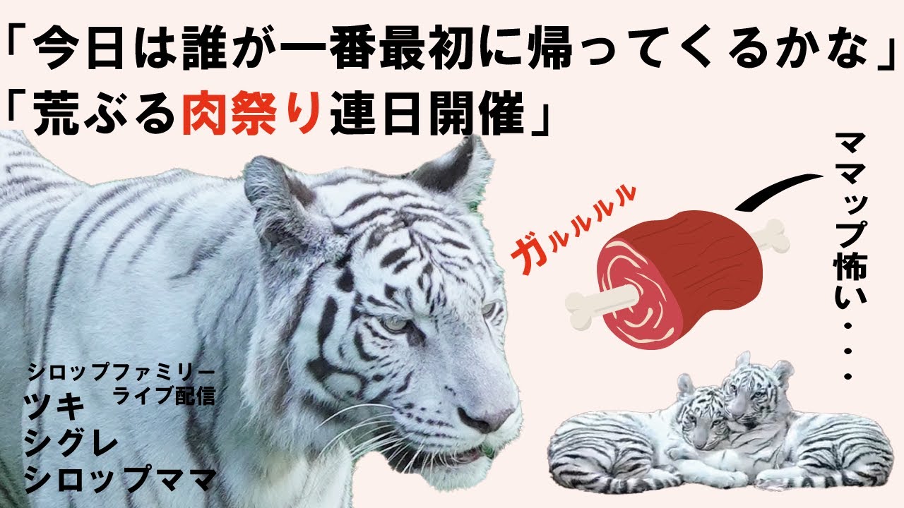 3月30日シグレ試練の刻を心配しているママップとツキちゃん