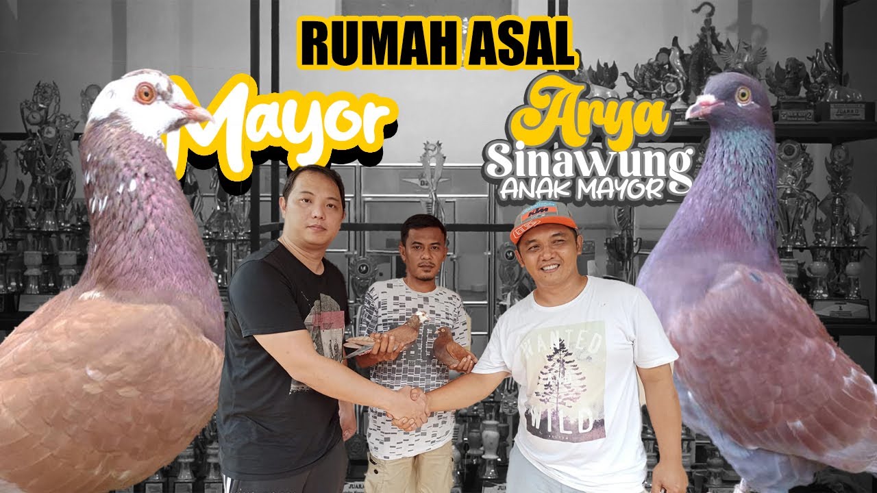 🔴REVIEW RUMAH LAMANYA ARYA SINAWUNG TEAM BR 2 SALATIGA❗❗ #merpatikolong