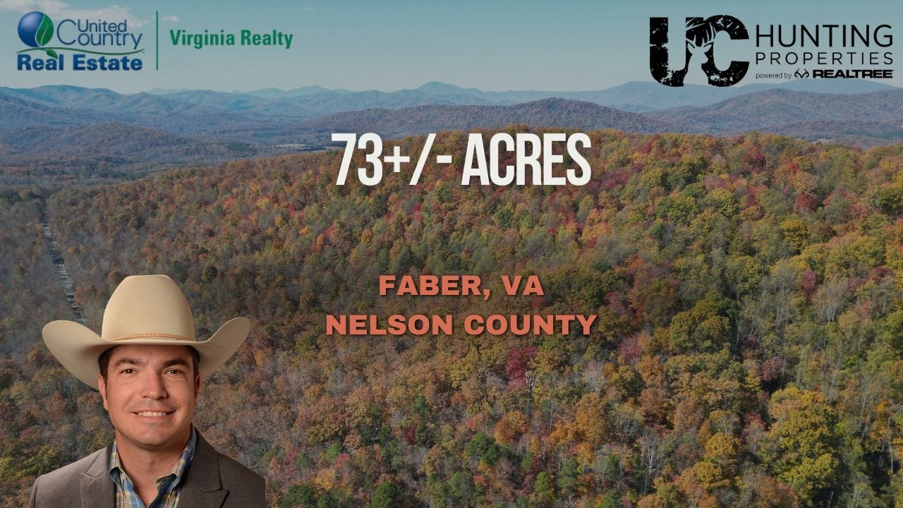 Build, Hunt, or Invest | 73-Acre Timber Tract on Route 6, Faber VA