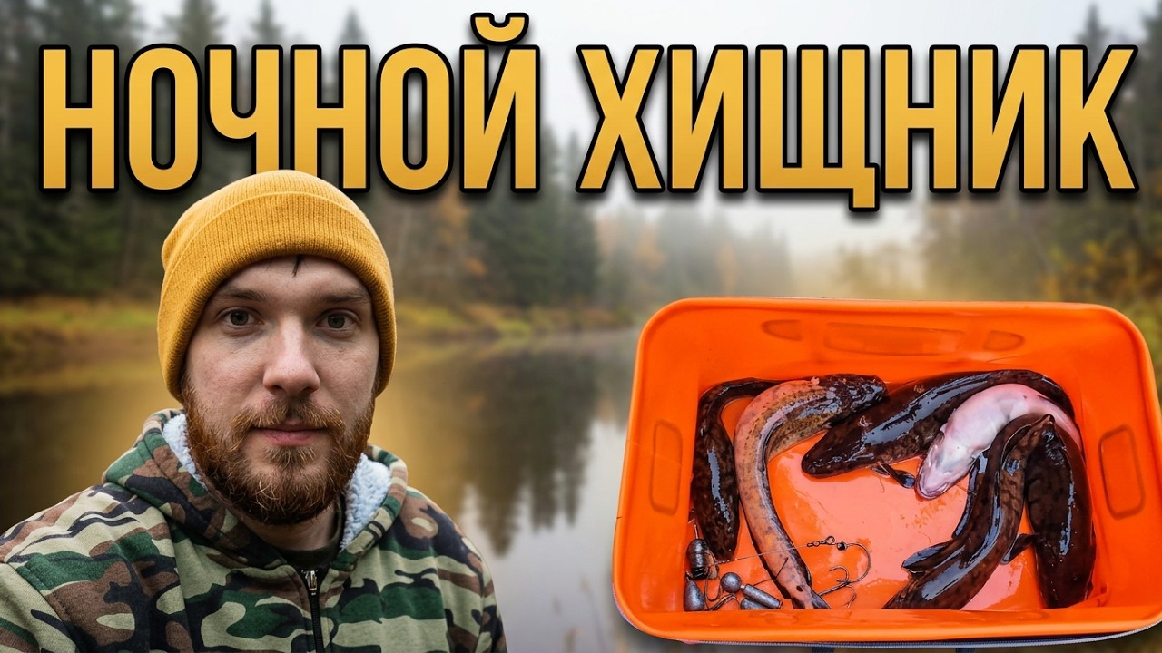 Поздней осенью на реке с донками и жерлицами! Ловим Налима!