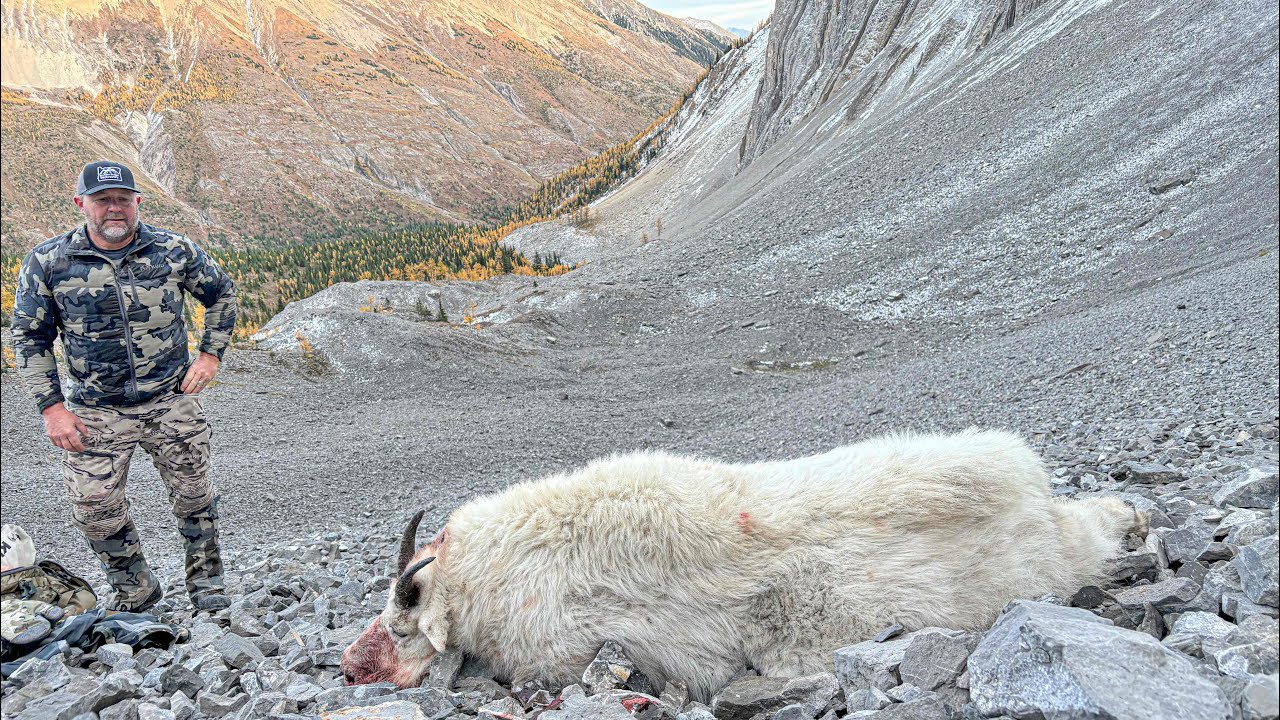 BC Mountain Goat Hunt