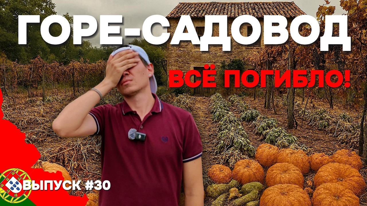 Урожая больше нет!😱 Оставил огород в Португалии без присмотра на месяц | Дом в Португалии. Выпуск 30