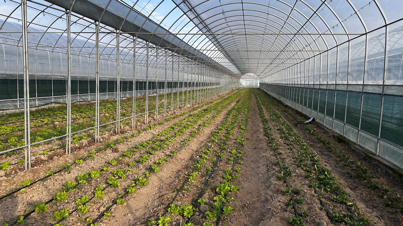 15.02.2026 salaflani holati