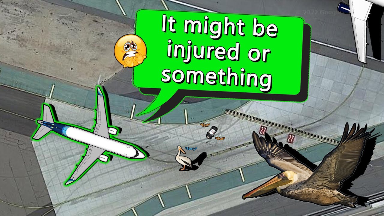 A Pelican blocks Horizon E170 from takeoff at San Diego!