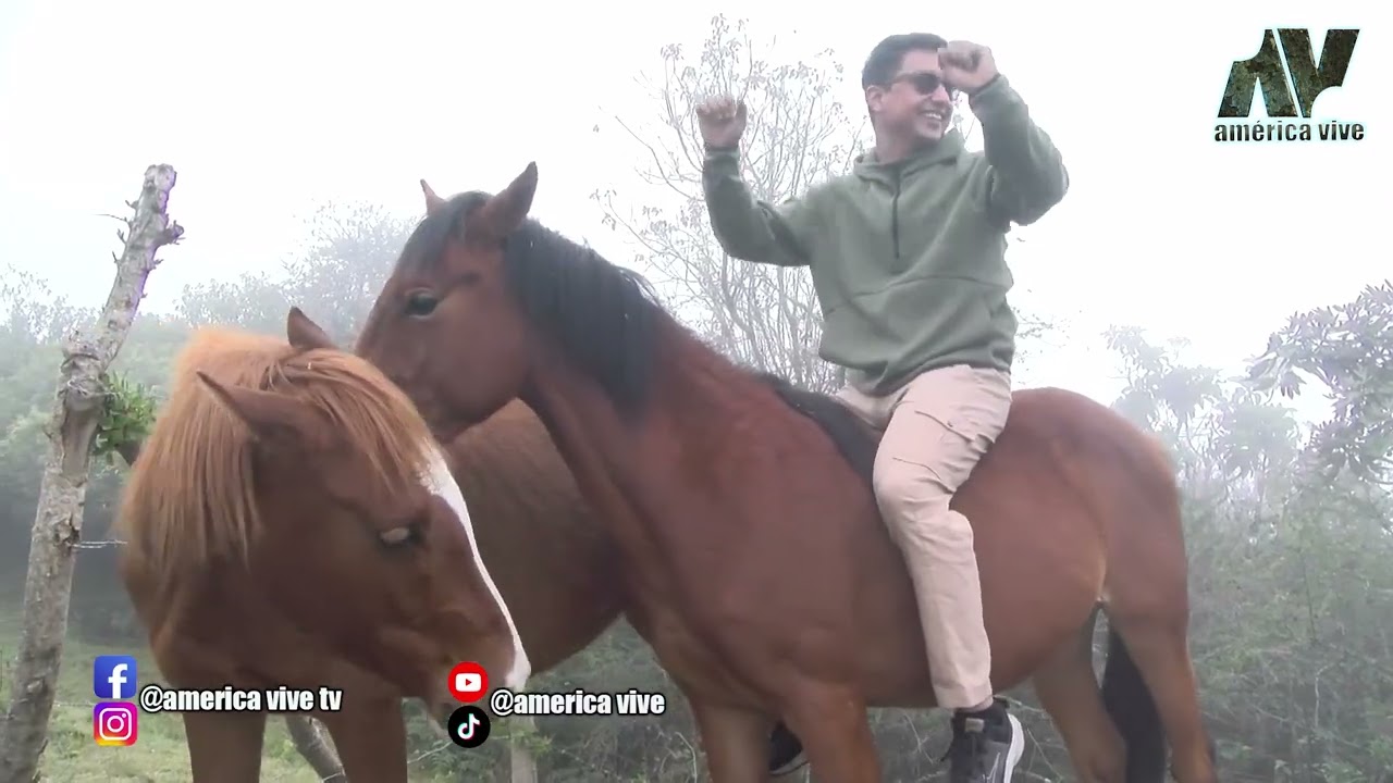 El m&aacute;gico bosque nublado de Calacal&iacute;