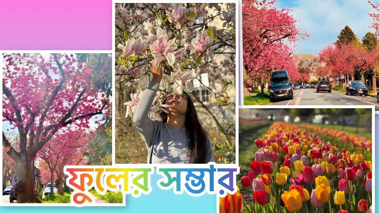 একদিনে ঘুরে ফেললাম তিনরকমের ফুলের বাগান ।গরমকালের এই কটা দিনে চারিদিকে শুধু ফুলের বাহার দেখার মতন ।