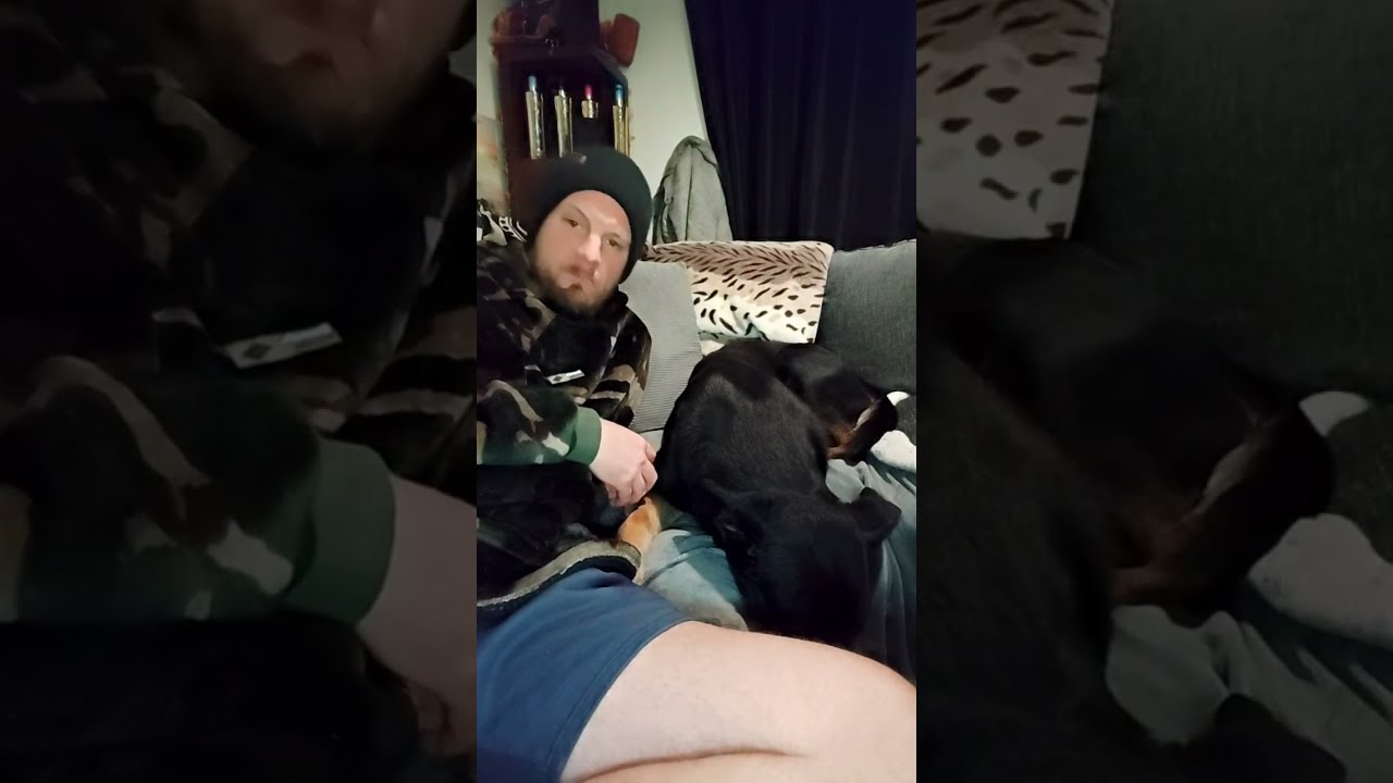 Just_Dave&Bruno is live