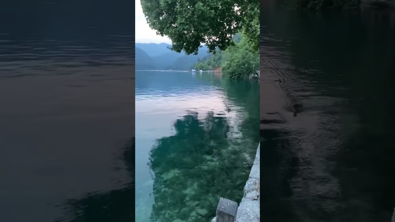 Lake Bled, Slovenia 🇸🇮 A fairytale lake in the Alps.✨#lakebled #slovenia #travel #europe  #naturе