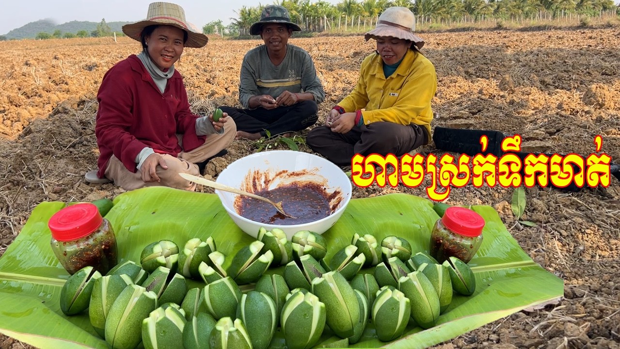 ឆ្នៃឆ្នៃឆ្នៃ!!! ឆ្ងាញ់ណាស់ស្វាយខ្ចីអំបិលបុកកាពិ ហាមស្រក់ទឹកមាត់ ញ៉ាំនៅវាលស្រែ