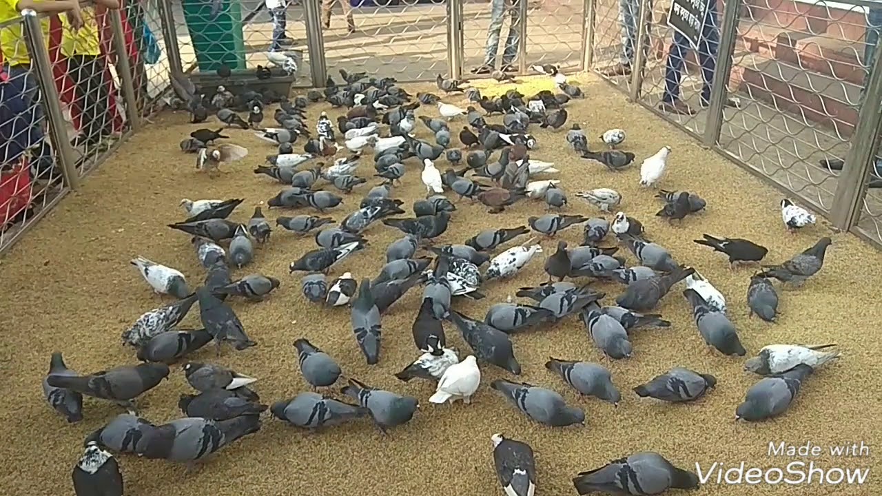 হযরত শাহ জালাল (রা:) মাজার শরীফ,সিলেট