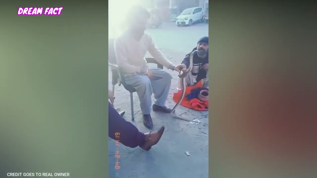 Funny Things Happen Only in Pakistan/Comedy | Funny Moments Of Pakistani People | dream facts