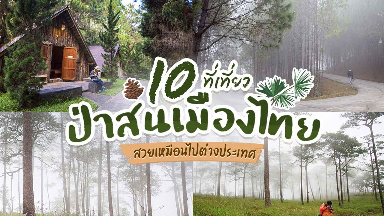 10 ที่เที่ยวป่าสนเมืองไทย สวยเหมือนไปต่างประเทศ