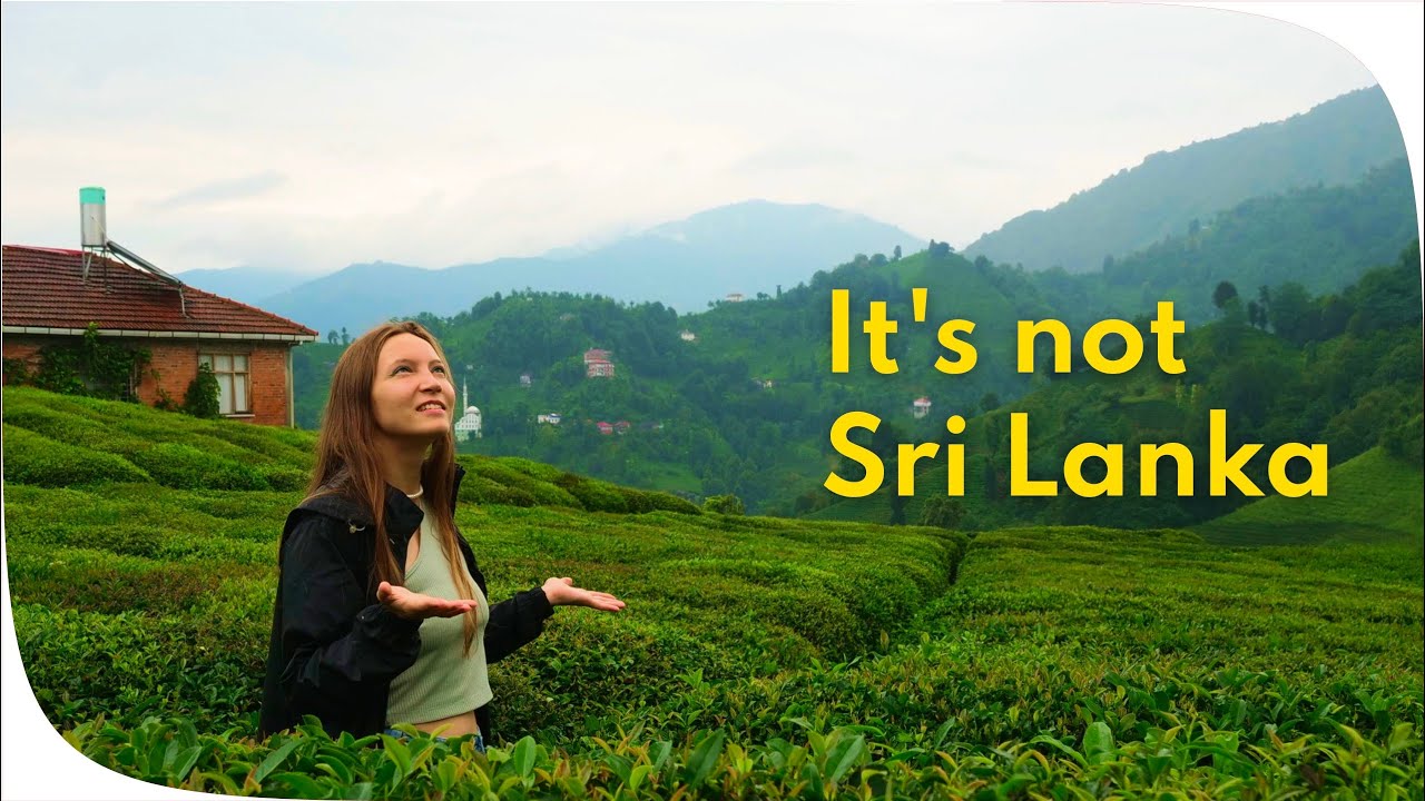 These Tea Plantations Almost Killed The World