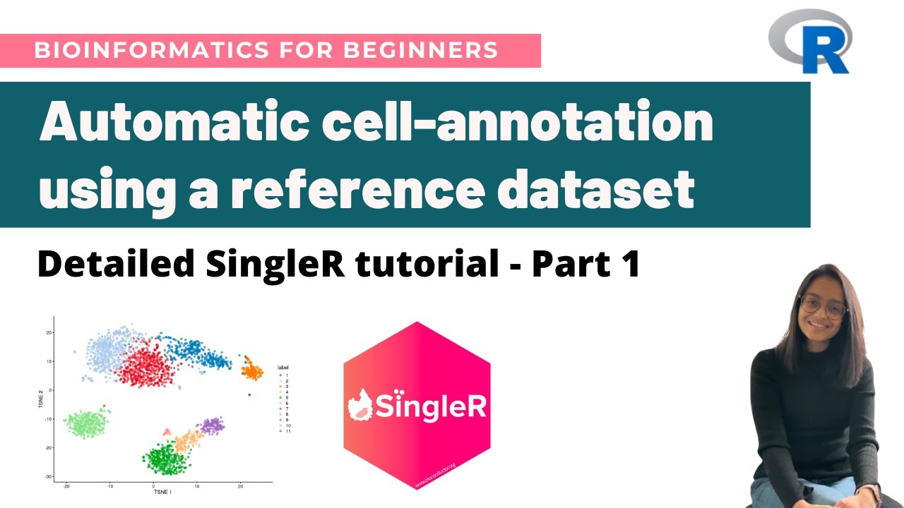 Automatic cell-annotation for single-cell RNA-Seq data: A detailed SingleR tutorial (PART 1)
