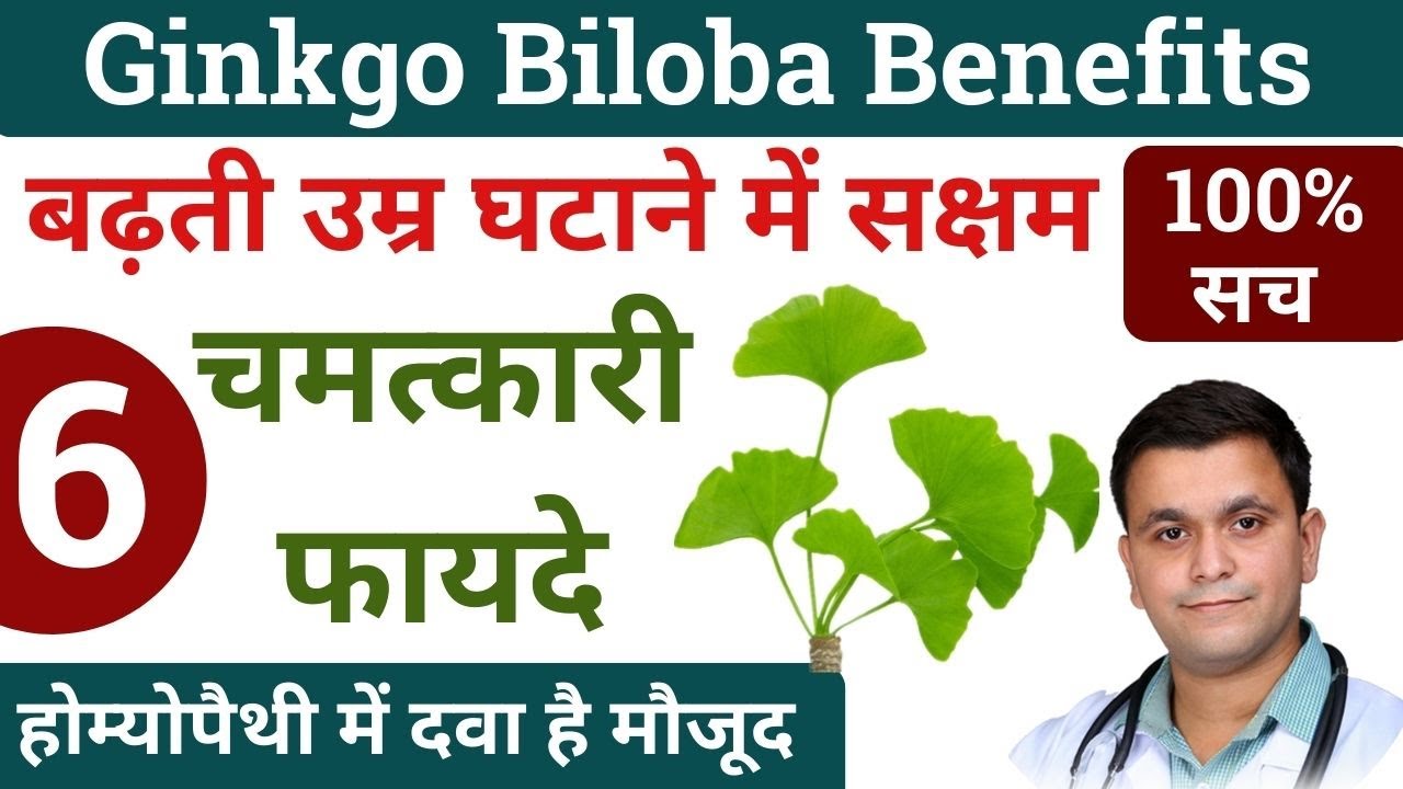 Ginkgo Biloba benefits Ginkgo biloba homeopathic medicine Ginkgo Biloba dosage #RxHpathy