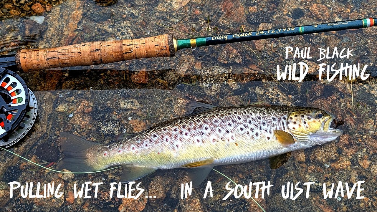 South Uist Wild Trout....Proper Golden Spotted Leopards...Outer Hebrides