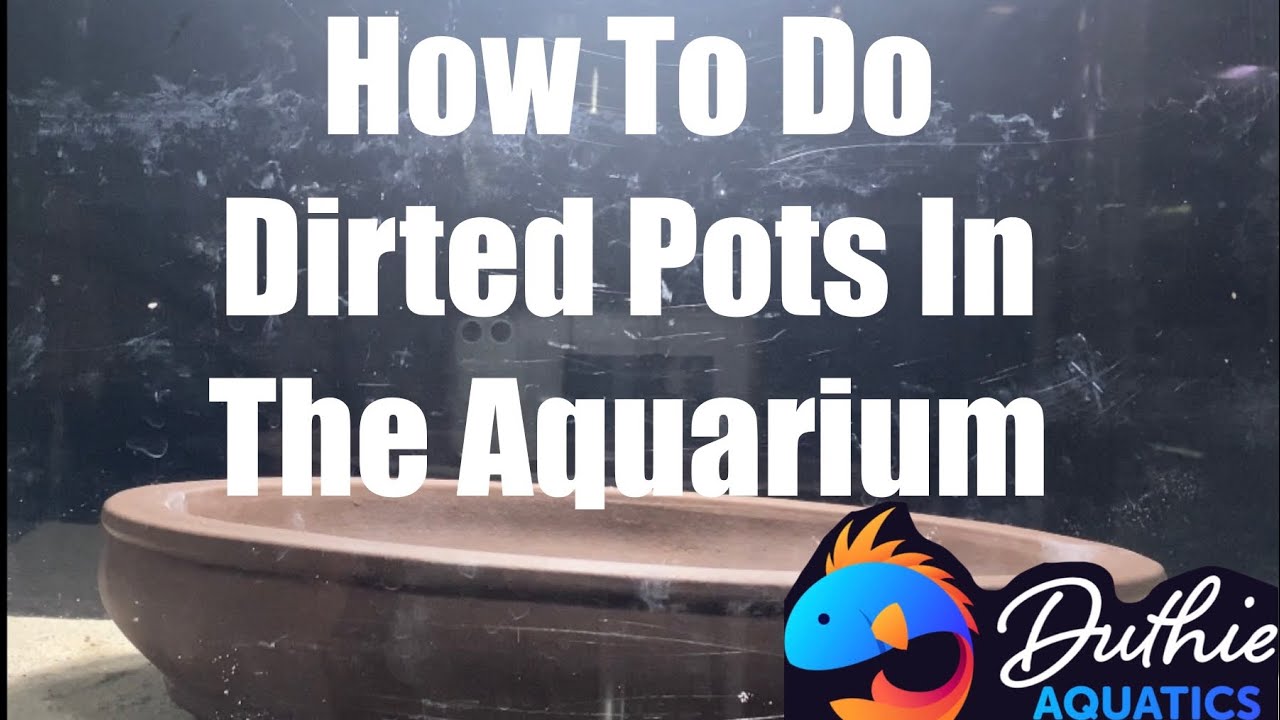 How to Create a Lush Aquarium with Dirted Pots: Step-by-Step Guide