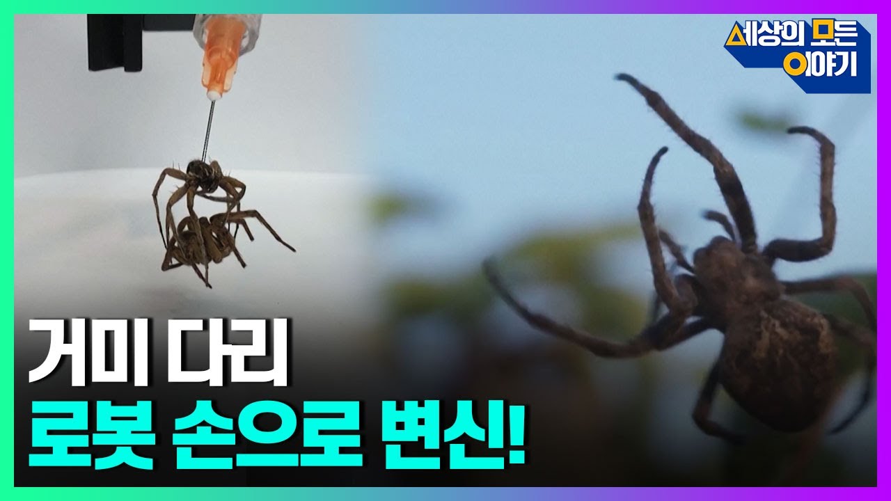 죽은 거미 다리가 로봇 손으로 변신했다!ㅣ세모이 [43회] / YTN2