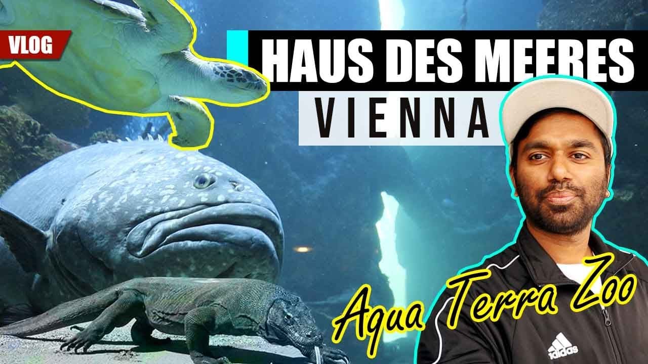 HAUS des MEERES 🇦🇹 | AQUA TERRA ZOO | COMPLETE INFO 2021 | VIJITH VIENER | VLOG | VIENNA VLOG