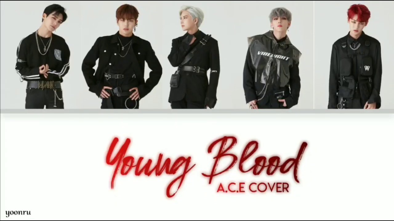 A.C.E || YOUNGBLOOD COVER LYRICS