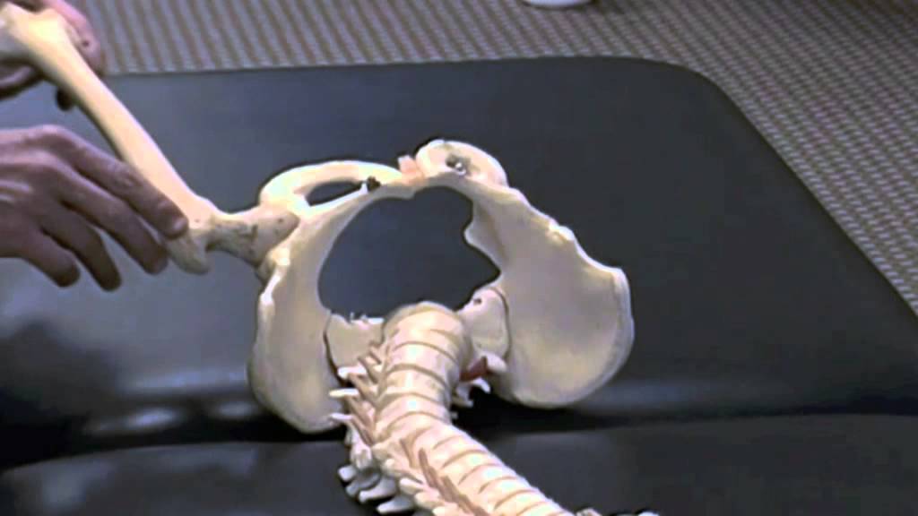 4   flexion internal rotation test