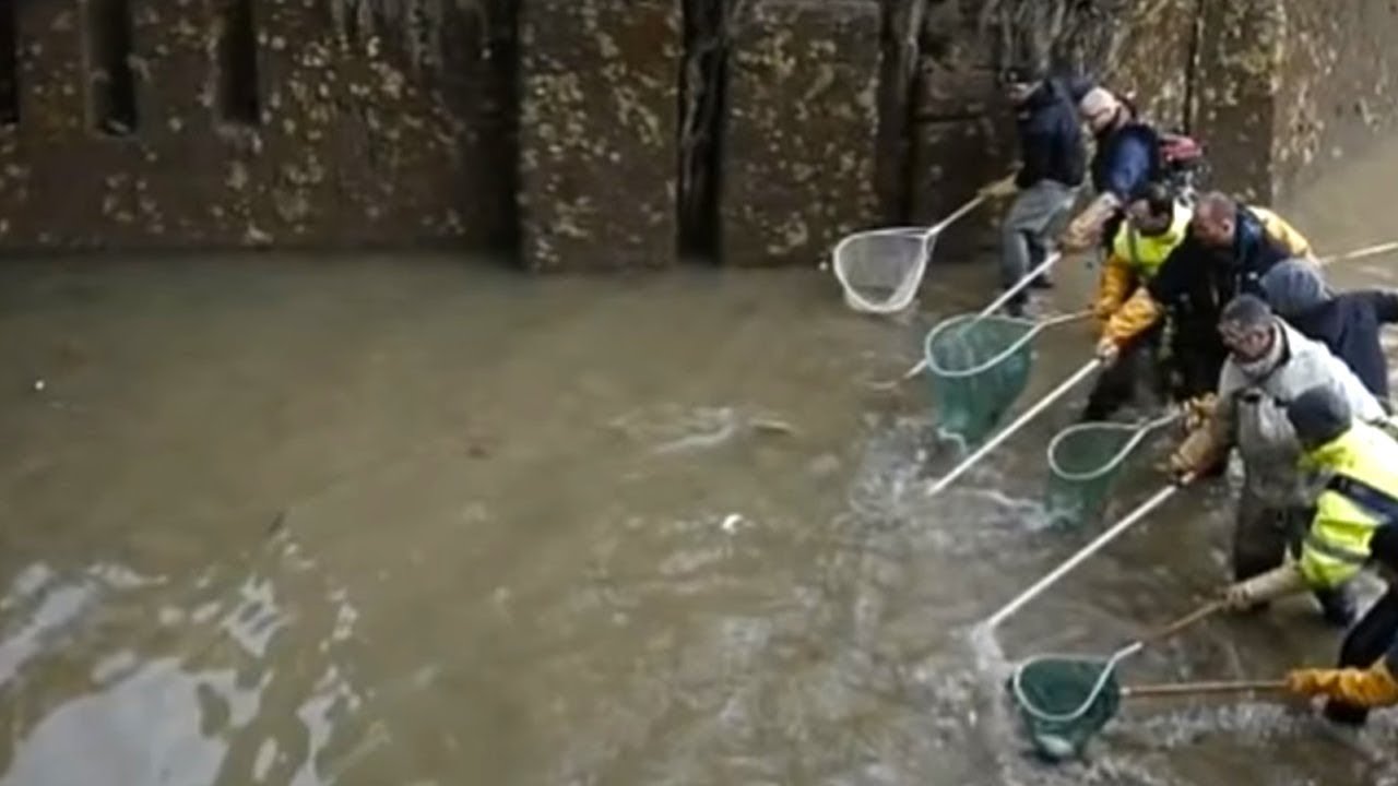 When People Drained A Canal And Discovered The Impossible