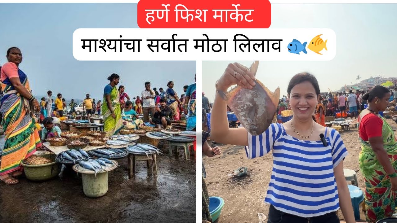 Harne beach Fish Market Dapoli | Fish Auction 🐟🐠