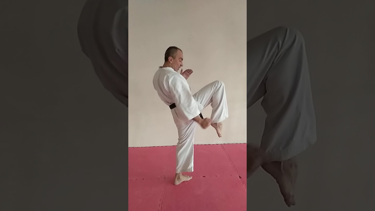 Technika Karate Kyokushin cz.2 hiza-geri, mae-keage