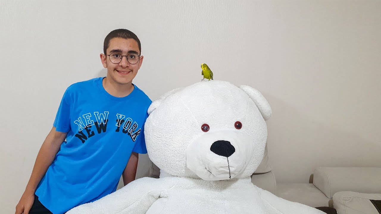 Kuş Paşayı Ayı Boobo ile Tanıştırdık