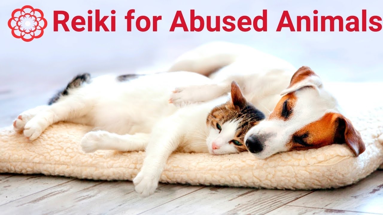 Reiki for Abused Animals 💮